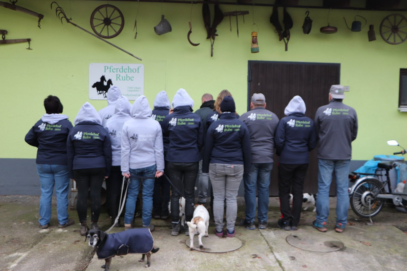 Pferd in der Stallgasse