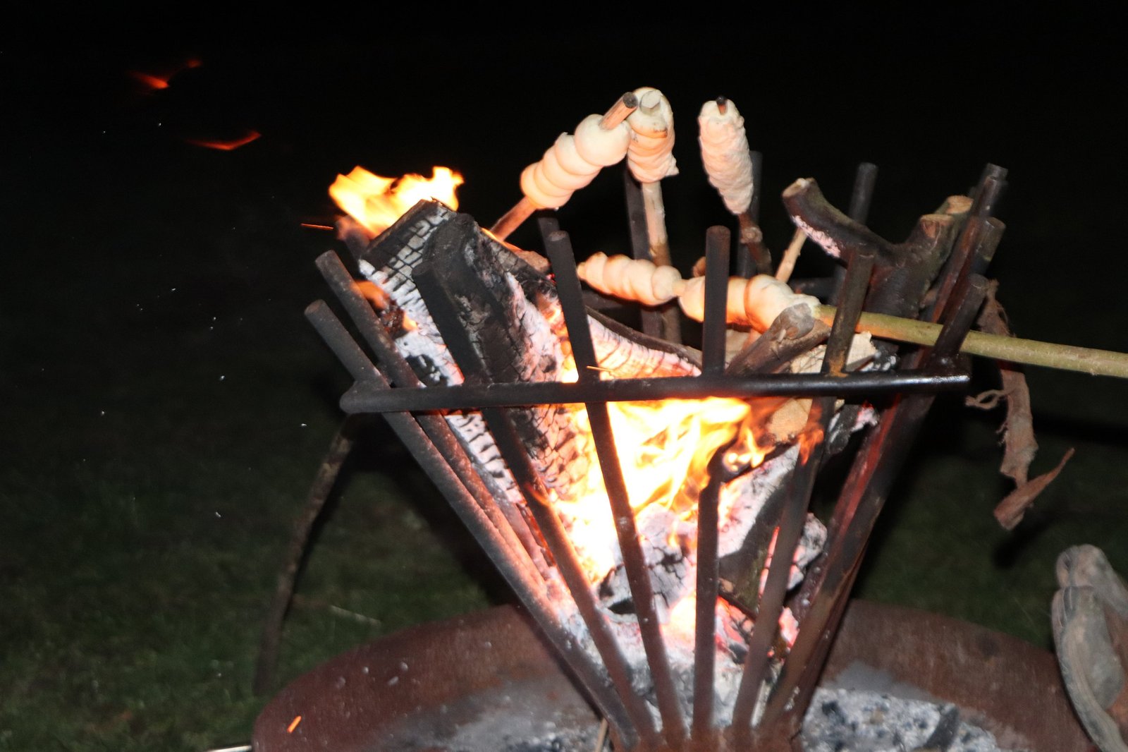 Pferde auf der Koppel