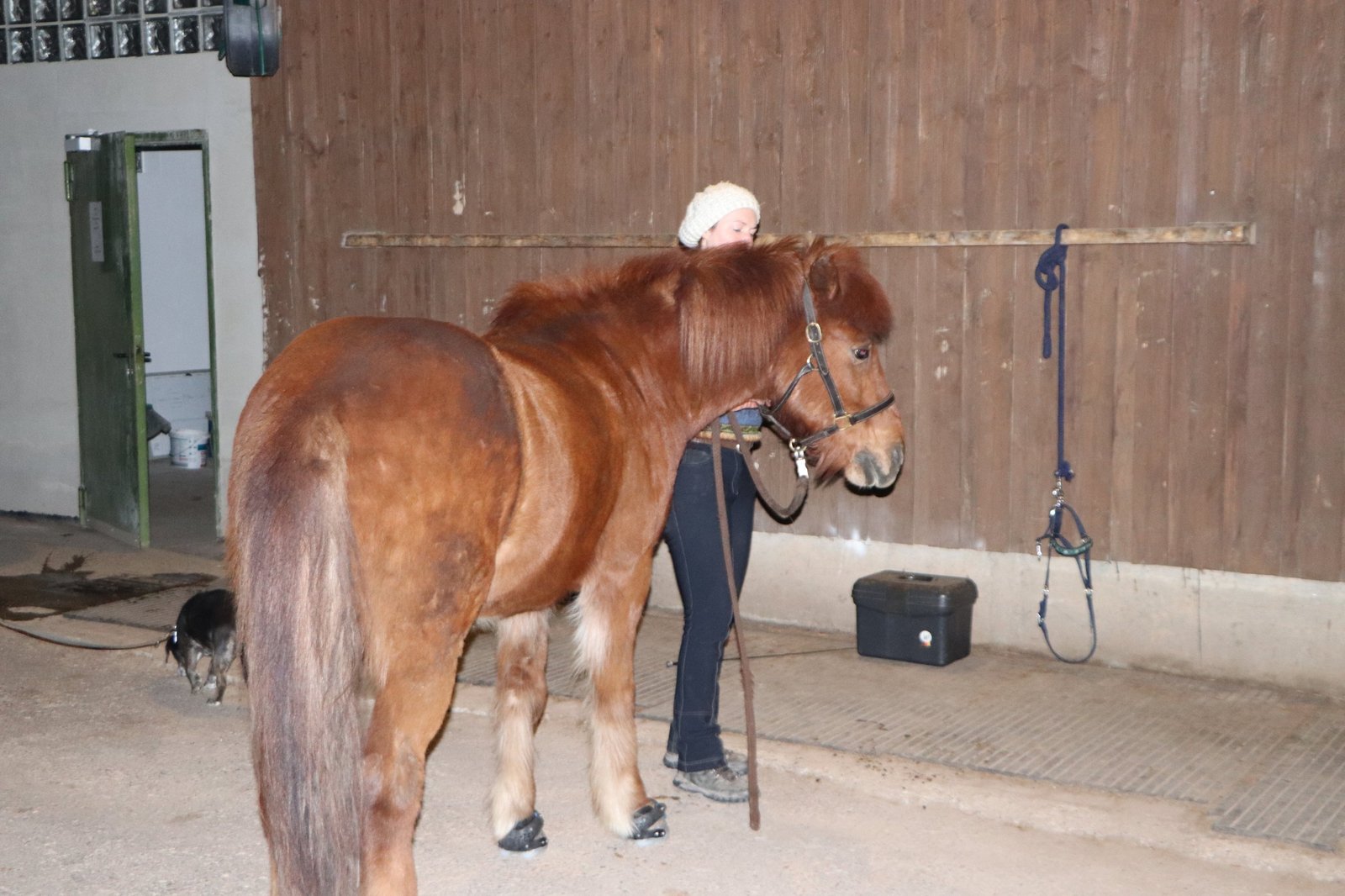 Blick in die Stallgasse